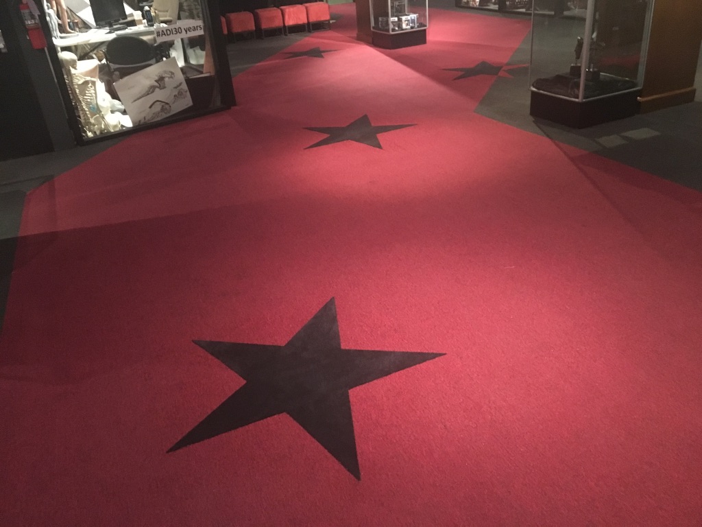 Custom Carpet Design and Install Hollywood Museum